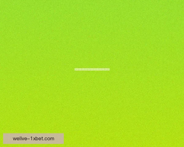 领主塔：探索强者之巅，征服未知的战斗与荣耀世界